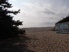 NAKATAJIMA Sand Hill